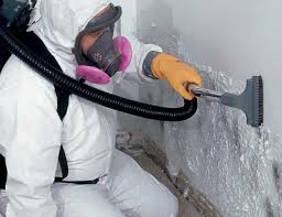 Asbestos and Lead Testing During Mold Inspection